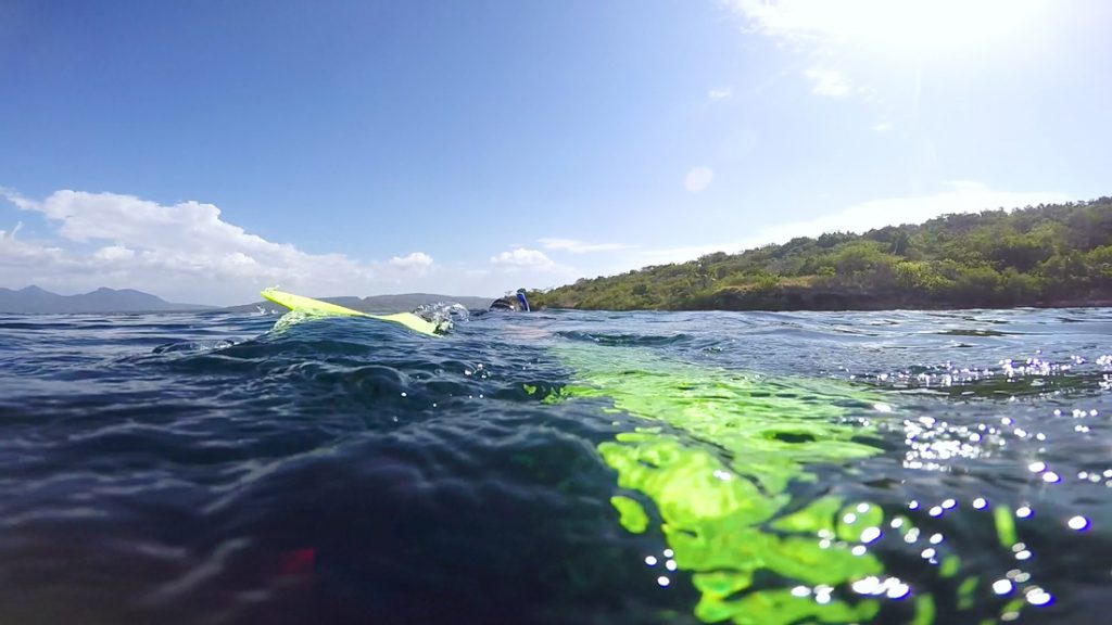 Snorkelen bij Menjangan Ijland