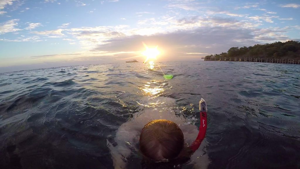 Snorkelen in Menjangan