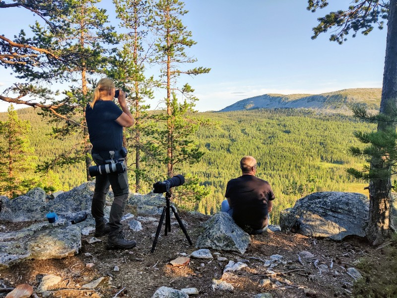 sweden-lofsdalen-spotting-wildlife