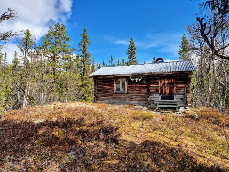 sweden-sonfjallet-national-park-forest-cabin