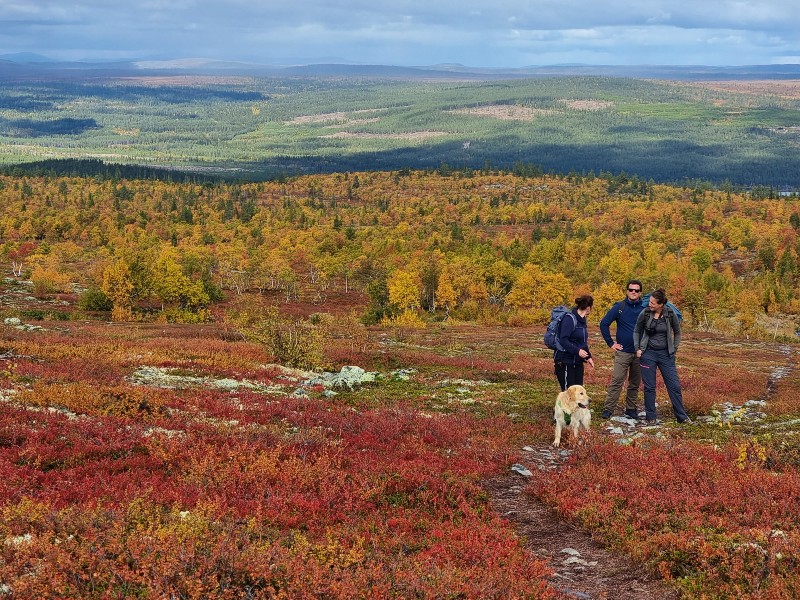 sweden-sonfjallet-national-park-hike-to-cabin